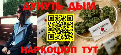 jwh Кингисепп