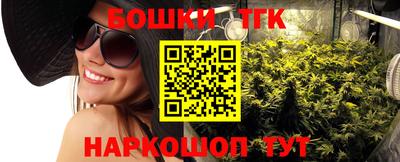 jwh Кингисепп