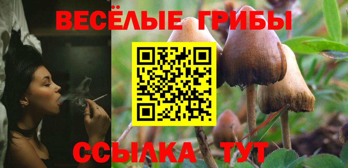 Галлюциногенные грибы GOLDEN TEACHER Волоколамск